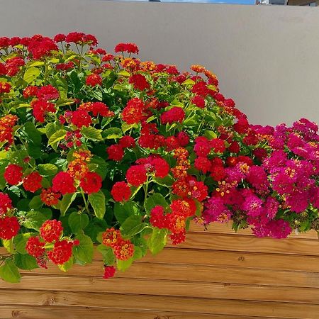The Little Big Apartment In The Heart Of Heraklion エクステリア 写真