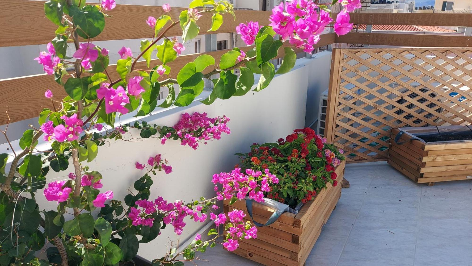 The Little Big Apartment In The Heart Of Heraklion エクステリア 写真