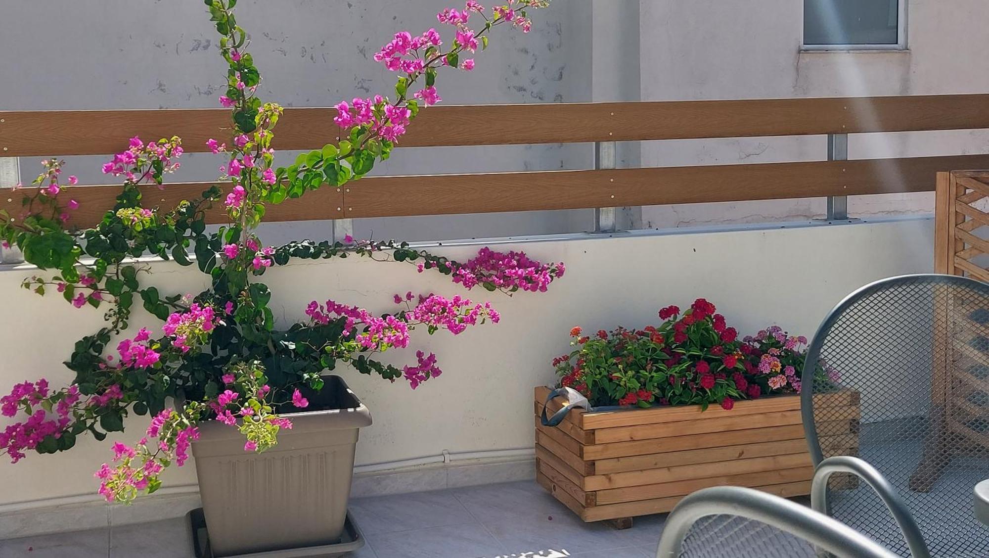 The Little Big Apartment In The Heart Of Heraklion エクステリア 写真